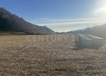 IMG_7207.JPG - Building land Via Don Giovanni Calabria 2, Tregnago - photo 2