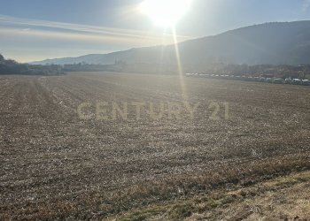 IMG_7215.JPG - Building land Via Don Giovanni Calabria 2, Tregnago - photo 10