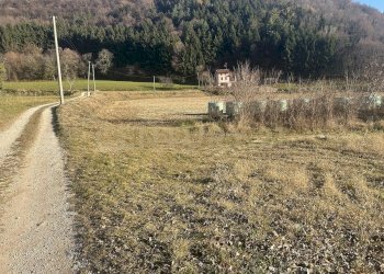 IMG_7226.JPG - Building land Via Don Giovanni Calabria 2, Tregnago - photo 21