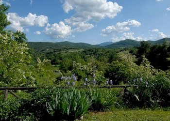 Casale Ceva - foto 26