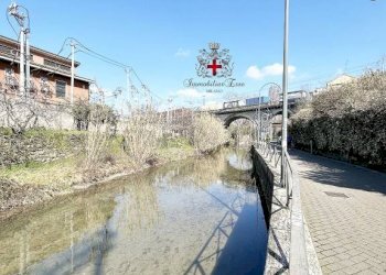 Office Milano (neighborhood Turro) - photo 14