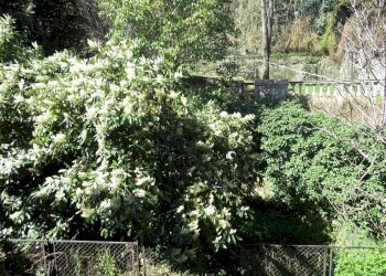 Trilocale Via Carlo Antonio Tavella, 1, Genova (zona Castelletto) - foto 29