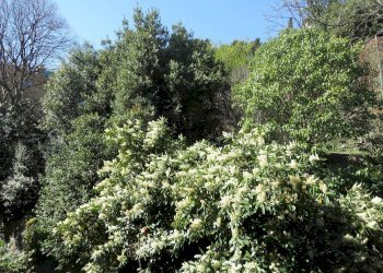 Trilocale Via Carlo Antonio Tavella, 1, Genova (zona Castelletto) - foto 40