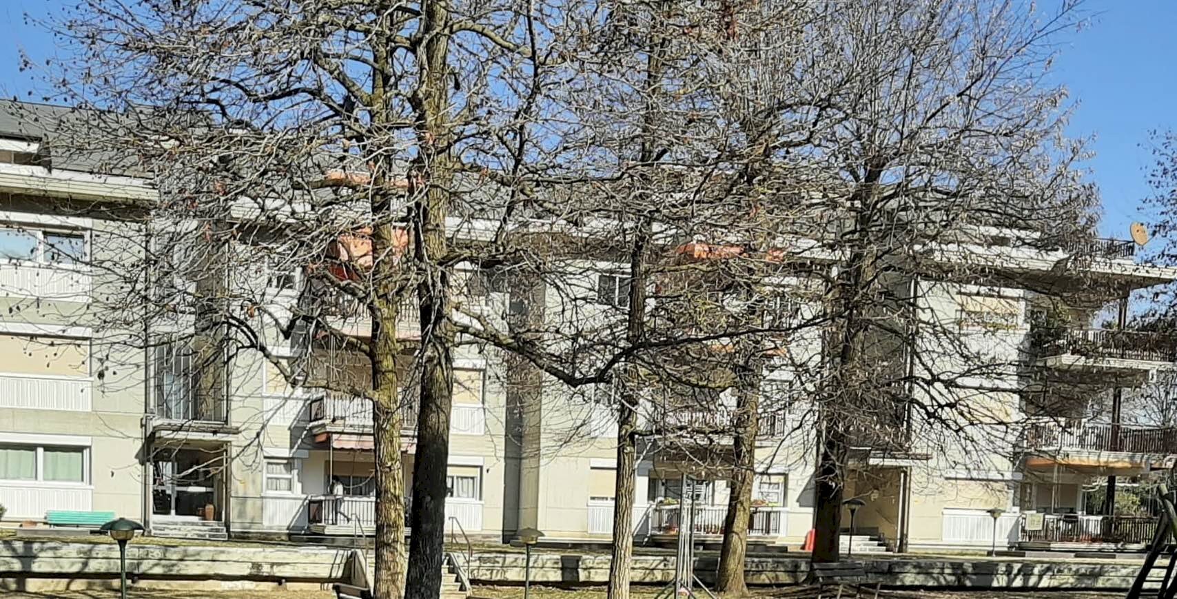 Two-room apartment Via Roncaia, Boves - photo 3