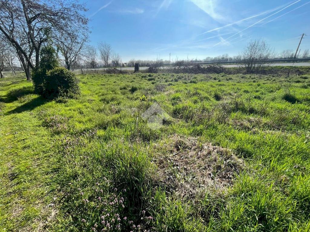 Terreno agricolo Via Case Sparse, Rivalta di Torino - foto 2