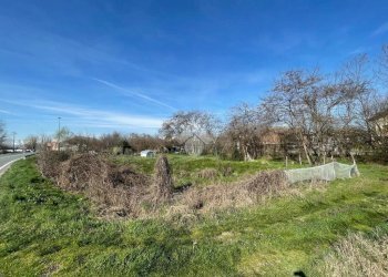 Terreno agricolo Via Case Sparse, Rivalta di Torino - foto 3