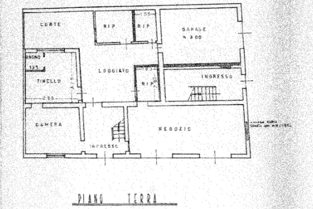 Stabile - Palazzo Corso Mazzini, Lugo - planimetria 1