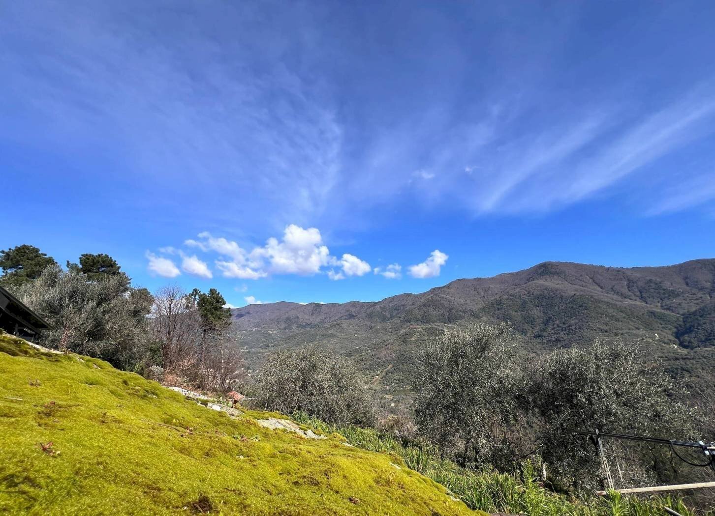 Villa Strada Provinciale Sud, Ceriana - photo 2