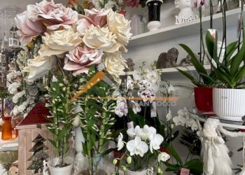 Shop Ravenna (neighborhood Viale Alberti) - photo 1