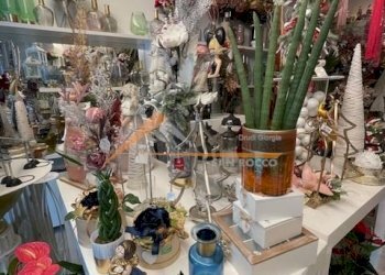 Shop Ravenna (neighborhood Viale Alberti) - photo 5