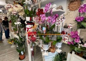 Shop Ravenna (neighborhood Viale Alberti) - photo 6