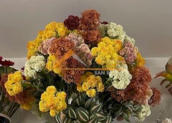 Shop Ravenna (neighborhood Viale Alberti) - photo 9