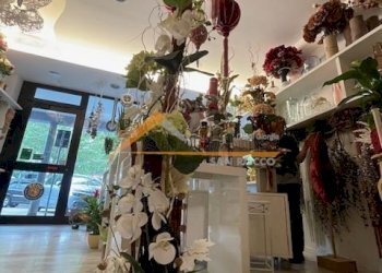 Shop Ravenna (neighborhood Viale Alberti) - photo 11