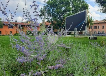 Three-room apartment Via Vincenzo da Seregno, Milano (neighborhood Affori) - photo 1