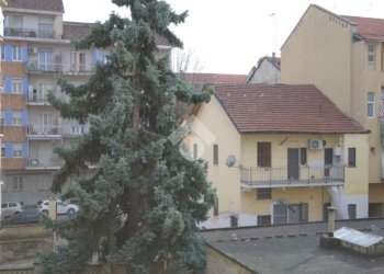 Trilocale Via gattico, Torino (zona Madonna Campagna) - foto 11