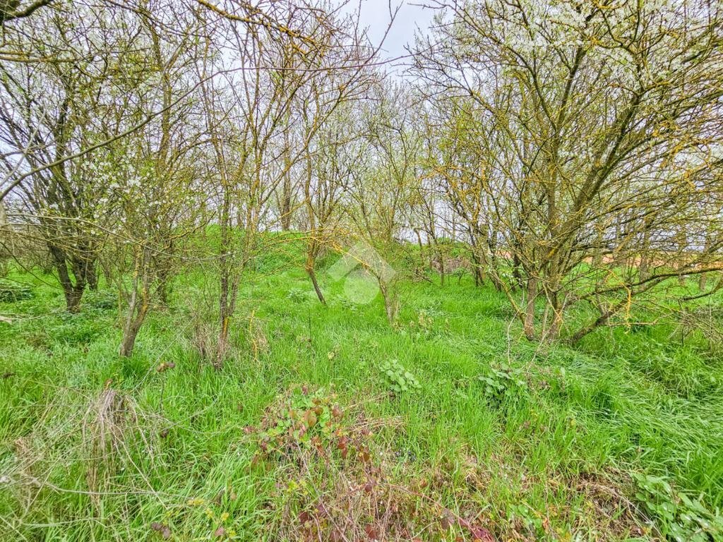 Independent house Via Lobbi, Alessandria - photo 3