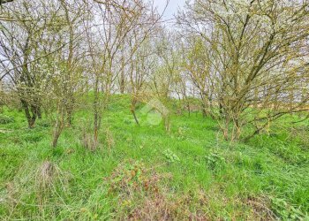 Casa indipendente Via Lobbi, Alessandria - foto 27