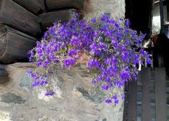 Casa indipendente Frazione Tignet, Valsavarenche - foto 12