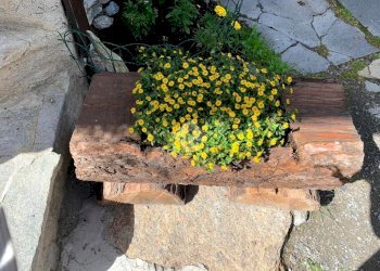 Casa indipendente Frazione Tignet, Valsavarenche - foto 19