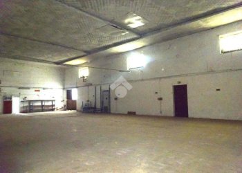 Magazzino Via Ponte Assa, Ferrara (zona Villanova di Denore) - foto 13