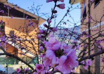 Three-room apartment Via Salvega, Casella - photo 30