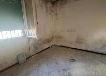 Trilocale Granarolo dell'Emilia - foto 4