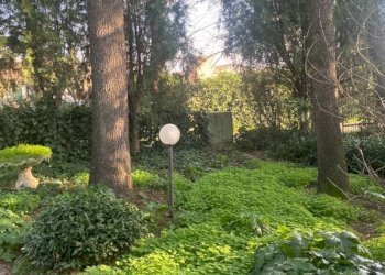 Villa Imola - foto 5