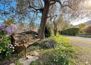 Foto 38 - Villa Regione Bauso, Garlenda - foto 38