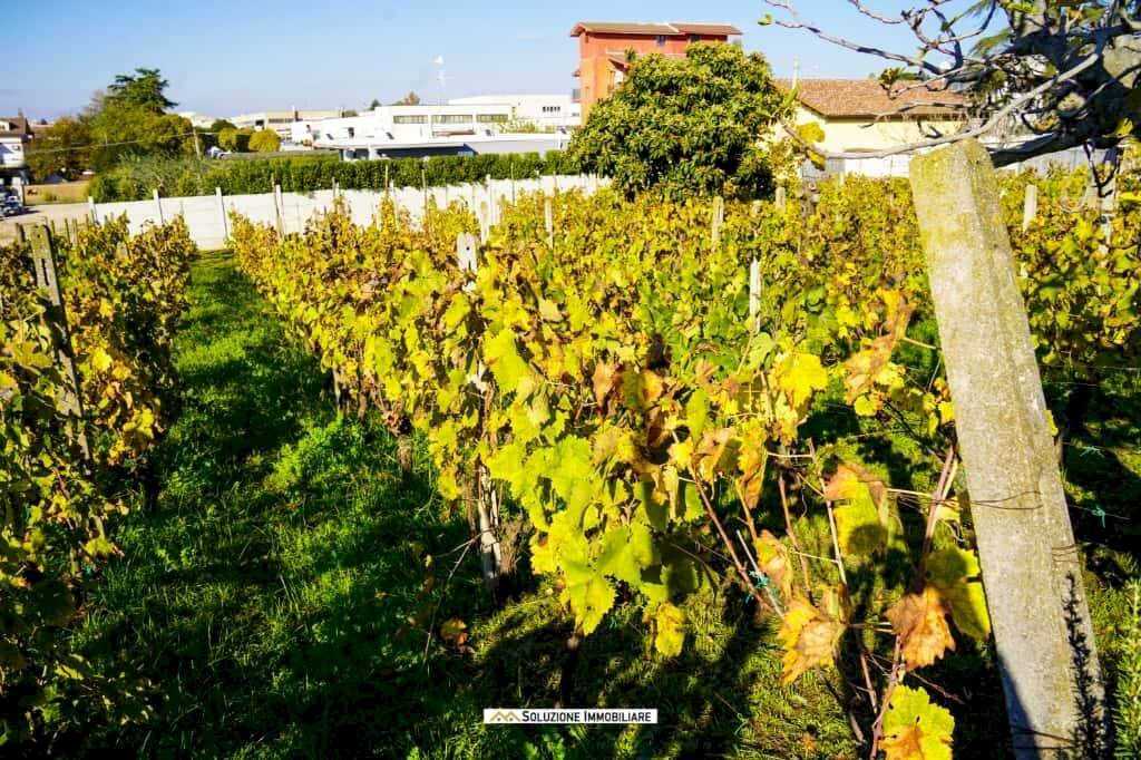 Foto 1 - Terreno agricolo via dei tulipani
 
24, Albano Laziale - foto 1