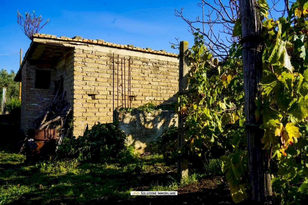 Foto 2 - Terreno agricolo via dei tulipani
24, Albano Laziale - foto 2