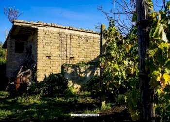 Foto 2 - Terreno agricolo via dei tulipani
24, Albano Laziale - foto 2