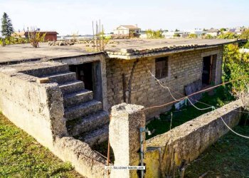 Foto 6 - Terreno agricolo via dei tulipani
24, Albano Laziale - foto 6