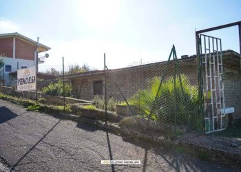 Foto 11 - Terreno agricolo via dei tulipani
24, Albano Laziale - foto 11