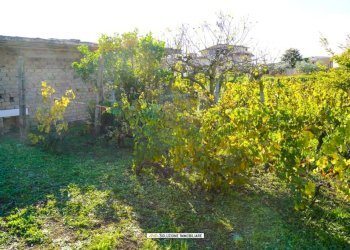 Foto 13 - Terreno agricolo via dei tulipani
24, Albano Laziale - foto 13