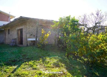 Foto 15 - Terreno agricolo via dei tulipani
24, Albano Laziale - foto 15