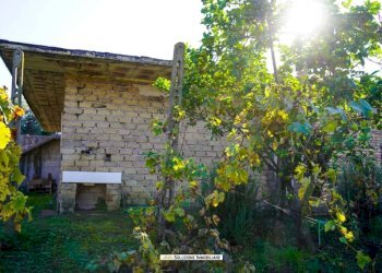 Foto 16 - Terreno agricolo via dei tulipani
24, Albano Laziale - foto 16