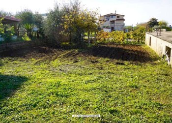 Foto 19 - Terreno agricolo via dei tulipani
24, Albano Laziale - foto 19