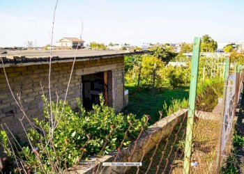 Foto 21 - Terreno agricolo via dei tulipani
24, Albano Laziale - foto 21