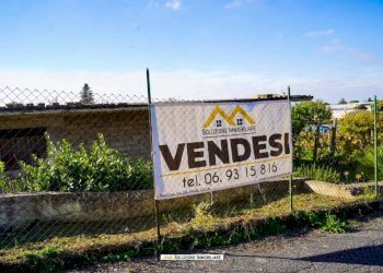 Foto 22 - Terreno agricolo via dei tulipani
24, Albano Laziale - foto 22