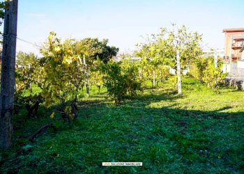 Foto 23 - Terreno agricolo via dei tulipani
24, Albano Laziale - foto 23