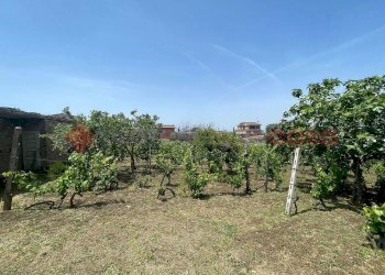 Foto 26 - Terreno agricolo via dei tulipani
24, Albano Laziale - foto 26