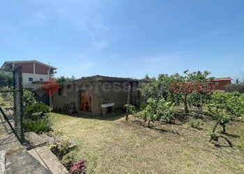 Foto 27 - Terreno agricolo via dei tulipani
24, Albano Laziale - foto 27