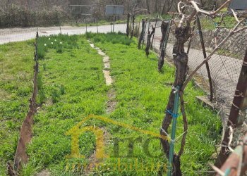 Foto 2 - Independent house Località Casale Giardinari
 
29, Gamberale - photo 2