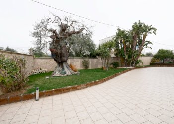 Terrazza - Villa Strada Detta Della Marina
 
86, Bari - foto 2