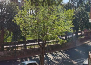 Edificio all\'aperto - Quadrilocale via antonio sciuto
 
35a, Misterbianco - foto 9