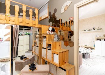 Dispensa di stoccaggio - Trilocale Via Jacopo Lo Verde
 
26, Catania - foto 9