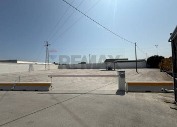 Terrazza - Shed Strada Provinciale Ceglie Valenzano
64, Bari - photo 16