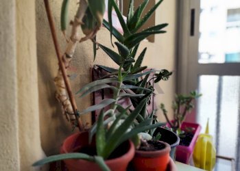 Dettagli - Two-room apartment Via Villafranca Piemonte
 
6, Torino - photo 7