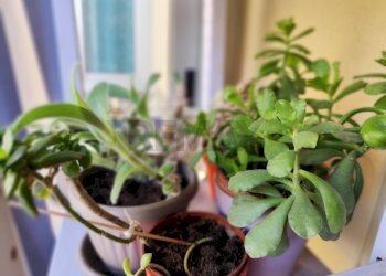 Dettagli - Two-room apartment Via Villafranca Piemonte
 
6, Torino - photo 8