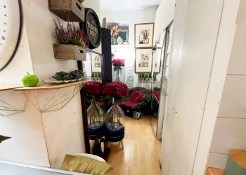 Hall / corridoio - Bilocale Via Termopili
 
29, Milano - foto 4